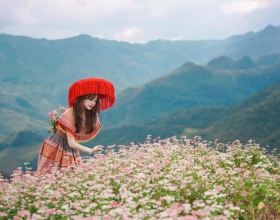 Hà Giang Sẵn Sàng Cho Lễ Hội Hoa Tam Giác Mạch 2023